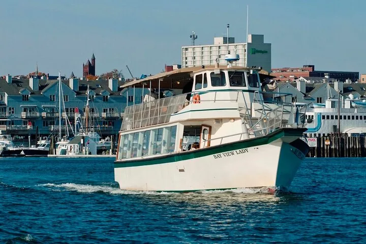 Ein Sightseeing-Boot fährt durch den Hafen mit städtischen Gebäuden im Hintergrund